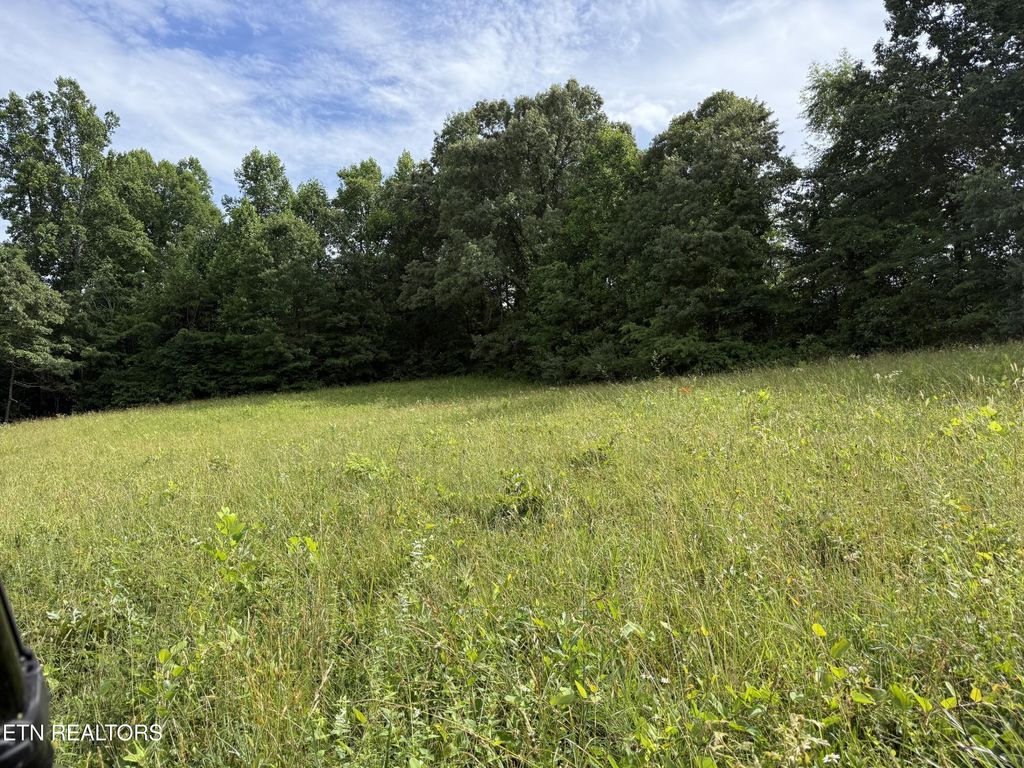 Photo of Clear Creek Rd. 41 Acres, Crossville, TN 38571 (MLS # 1345285)