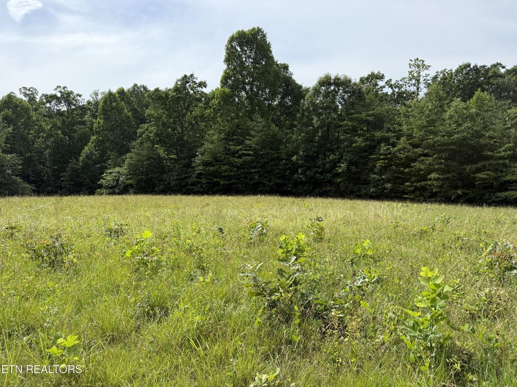 Photo of Clear Creek Rd. 41 Acres, Crossville, TN 38571 (MLS # 1345285)