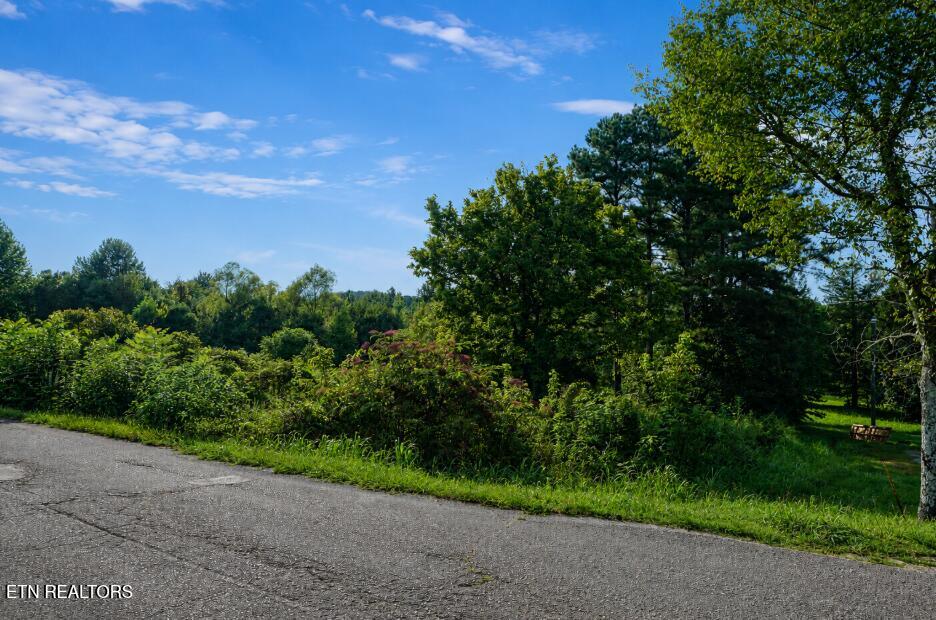 Photo of 258 Buckner Rd, Philadelphia, TN 37846 (MLS # 1352564)
