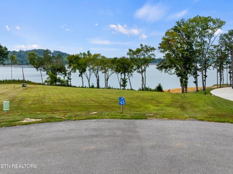 43 English Mountain Point White Pine TN 37890