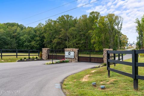Tiny photo for 43 English Mountain Point, White Pine, TN 37890 (MLS # 1316730)