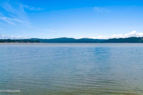 Tiny photo for 43 English Mountain Point, White Pine, TN 37890 (MLS # 1316730)
