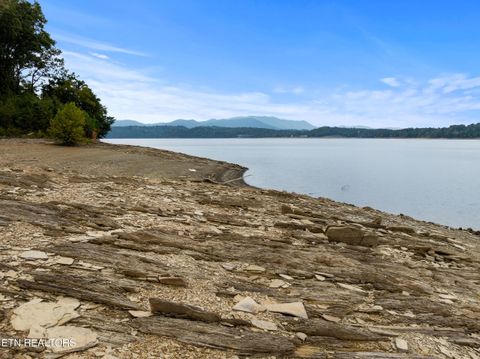 Tiny photo for 43 English Mountain Point, White Pine, TN 37890 (MLS # 1316730)