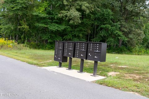 Tiny photo for 43 English Mountain Point, White Pine, TN 37890 (MLS # 1316730)