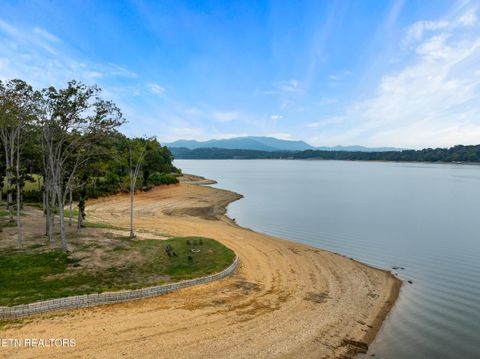 Tiny photo for 43 English Mountain Point, White Pine, TN 37890 (MLS # 1316730)