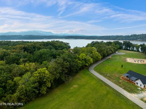 Tiny photo for 43 English Mountain Point, White Pine, TN 37890 (MLS # 1316730)