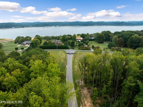 Tiny photo for 43 English Mountain Point, White Pine, TN 37890 (MLS # 1316730)