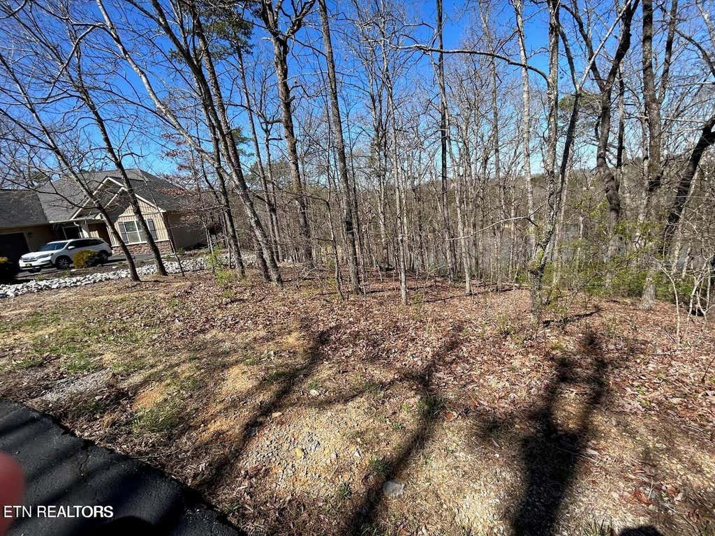 Photo of 313 Skiatook Circle, Loudon, TN 37774 (MLS # 1349348)