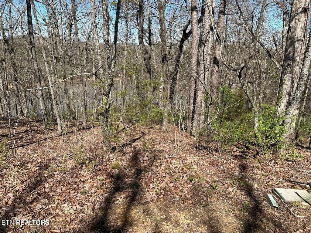 Photo of 313 Skiatook Circle, Loudon, TN 37774 (MLS # 1349348)