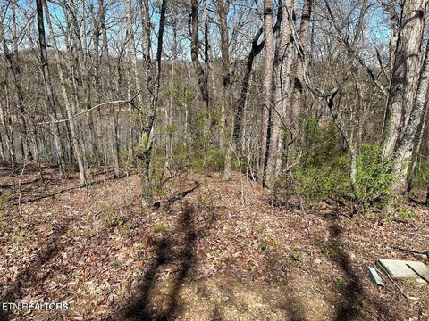 Photo of 313 Skiatook Circle, Loudon, TN 37774 (MLS # 1349348)