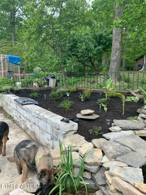 Tiny photo for 5506 Raccoon Valley Drive, Knoxville, TN 37938 (MLS # 1323255)