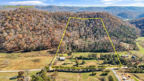 Tiny photo for 5506 Raccoon Valley Drive, Knoxville, TN 37938 (MLS # 1323255)