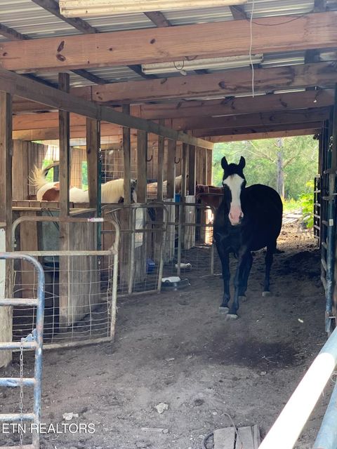 Tiny photo for 5506 Raccoon Valley Drive, Knoxville, TN 37938 (MLS # 1323255)