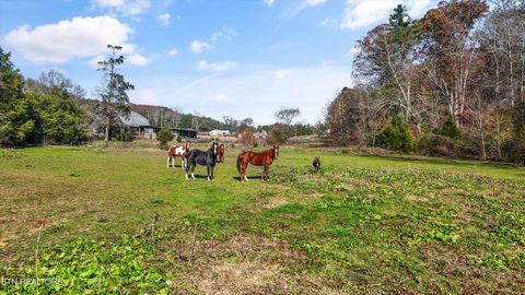 Tiny photo for 5506 Raccoon Valley Drive, Knoxville, TN 37938 (MLS # 1323255)