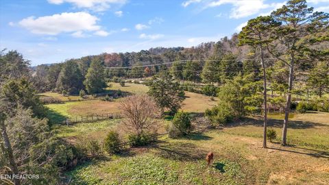 Tiny photo for 5506 Raccoon Valley Drive, Knoxville, TN 37938 (MLS # 1323255)