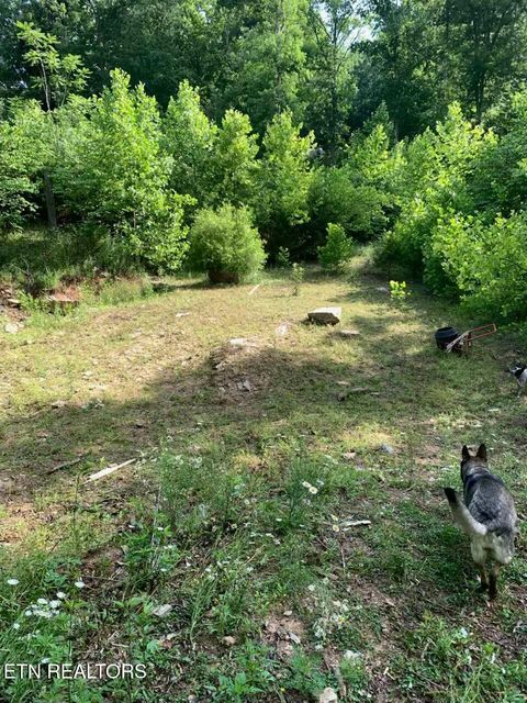 Tiny photo for 5506 Raccoon Valley Drive, Knoxville, TN 37938 (MLS # 1323255)