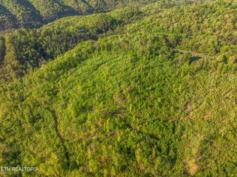 Tiny photo for 260 Shepard Lane, Thorn Hill, TN 37881 (MLS # 1338454)