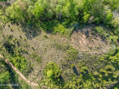 Tiny photo for 260 Shepard Lane, Thorn Hill, TN 37881 (MLS # 1338454)