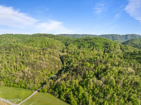 Tiny photo for 260 Shepard Lane, Thorn Hill, TN 37881 (MLS # 1338454)