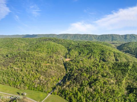 Tiny photo for 260 Shepard Lane, Thorn Hill, TN 37881 (MLS # 1338454)