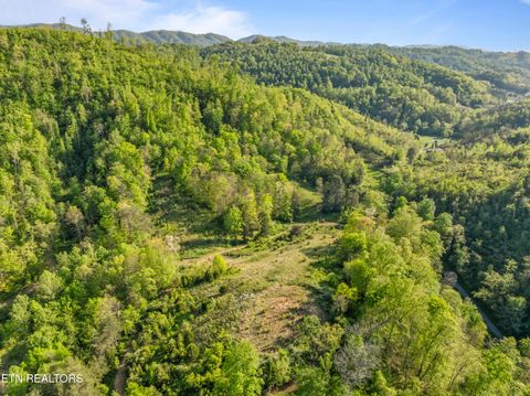 Tiny photo for 260 Shepard Lane, Thorn Hill, TN 37881 (MLS # 1338454)