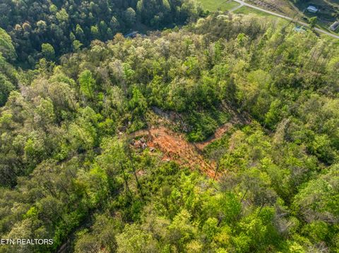 Tiny photo for 260 Shepard Lane, Thorn Hill, TN 37881 (MLS # 1338454)