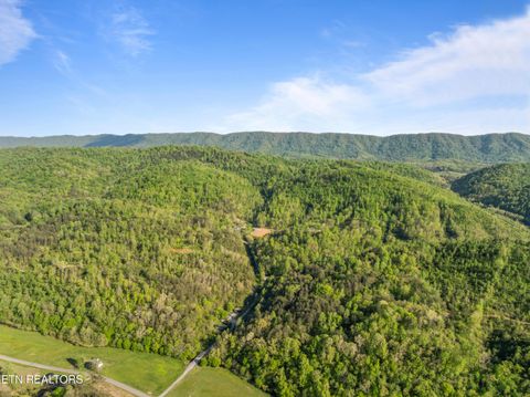 Tiny photo for 260 Shepard Lane, Thorn Hill, TN 37881 (MLS # 1338454)