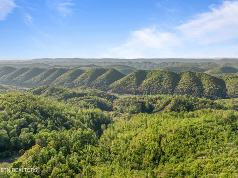 Tiny photo for 260 Shepard Lane, Thorn Hill, TN 37881 (MLS # 1338454)