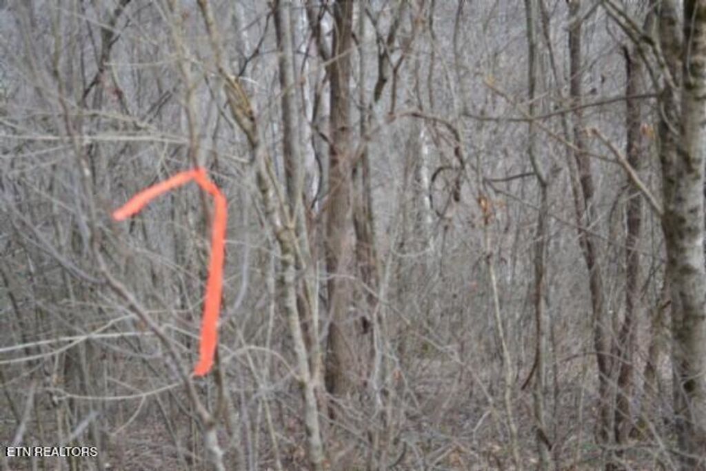 Photo of 51 Cumberland Valley Drive, Gainesboro, TN 38562 (MLS # 1328661)