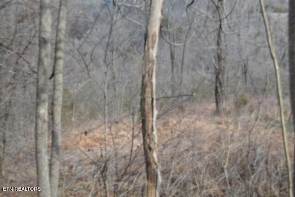 Photo of 51 Cumberland Valley Drive, Gainesboro, TN 38562 (MLS # 1328661)