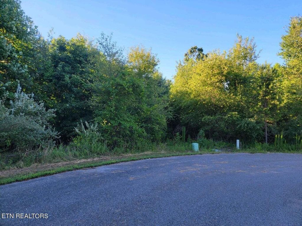 Photo of Taylor Way, Ten Mile, TN 37880 (MLS # 1269787)