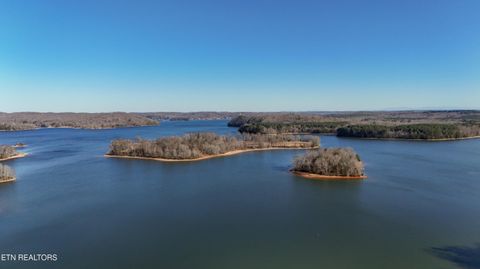 Tiny photo for 155 Dogwood Lane, Spring City, TN 37381 (MLS # 1327736)