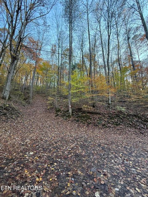 Photo of White Oak Lane, Caryville, TN 37714 (MLS # 1321388)