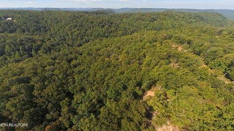 Tiny photo for Kodiak Lane,, Crawford, TN 38554 (MLS # 1357588)