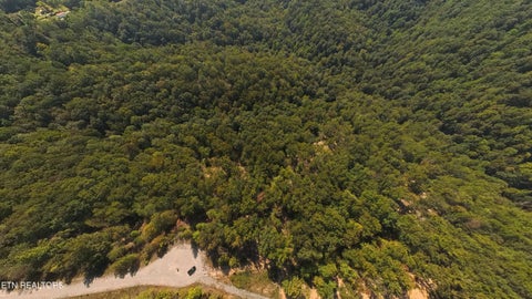 Tiny photo for Kodiak Lane,, Crawford, TN 38554 (MLS # 1357588)