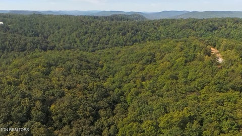 Tiny photo for Kodiak Lane,, Crawford, TN 38554 (MLS # 1357588)