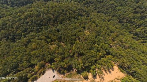 Tiny photo for Kodiak Lane,, Crawford, TN 38554 (MLS # 1357588)