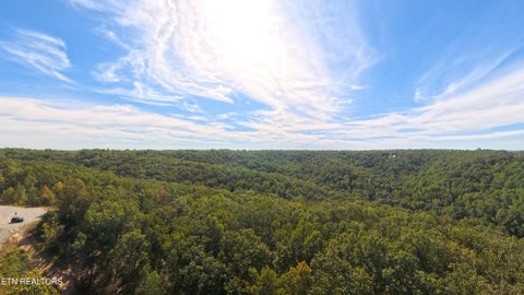 Tiny photo for Kodiak Lane,, Crawford, TN 38554 (MLS # 1357588)