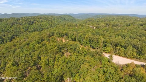 Tiny photo for Kodiak Lane,, Crawford, TN 38554 (MLS # 1357588)