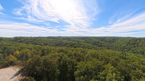 Tiny photo for Kodiak Lane,, Crawford, TN 38554 (MLS # 1357588)