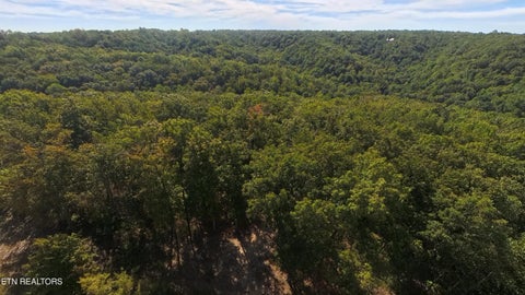 Tiny photo for Kodiak Lane,, Crawford, TN 38554 (MLS # 1357588)