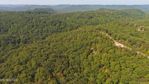 Tiny photo for Kodiak Lane,, Crawford, TN 38554 (MLS # 1357588)