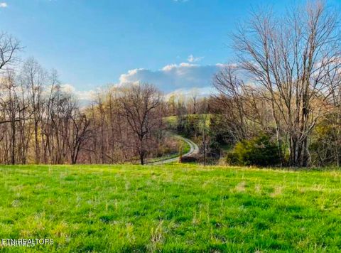 Chestnut Grove Rd Rd New Tazewell TN 37825