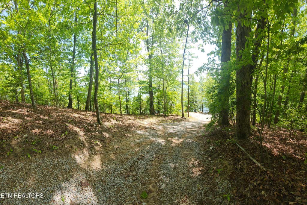 Photo of 122 Thief Neck Drive, Rockwood, TN 37854 (MLS # 1344942)