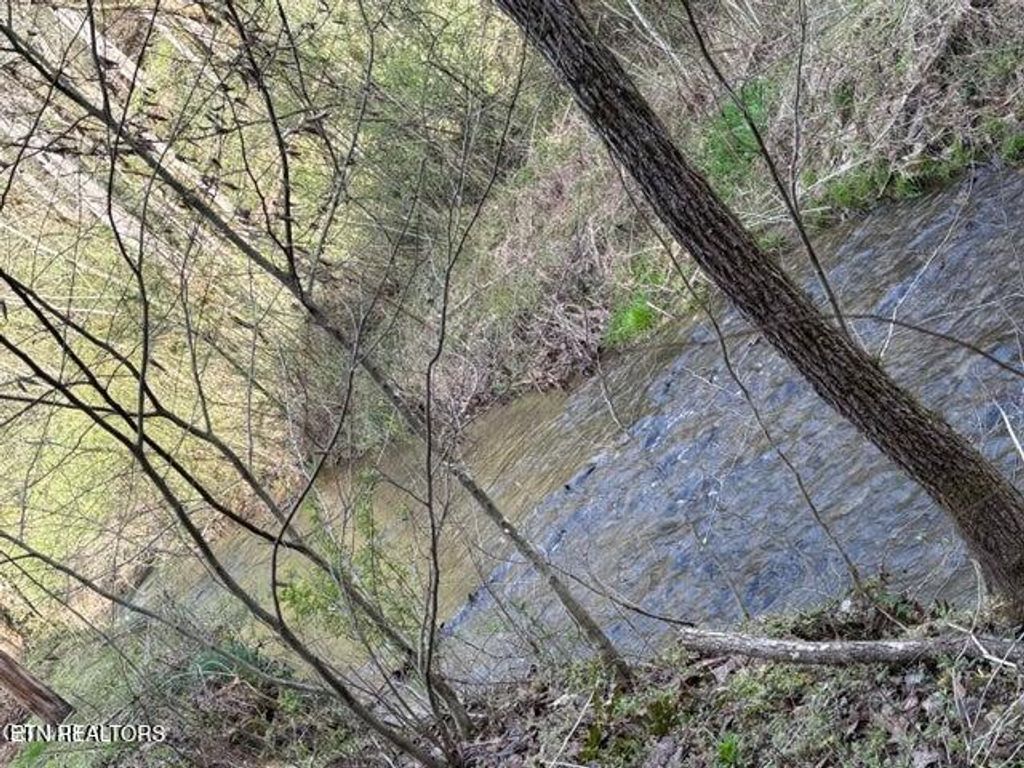 Photo of 439 Caney Creek Rd, Pigeon Forge, TN 37863 (MLS # 1319928)