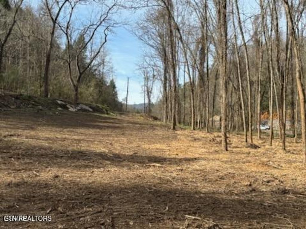 Photo of 439 Caney Creek Rd, Pigeon Forge, TN 37863 (MLS # 1319928)