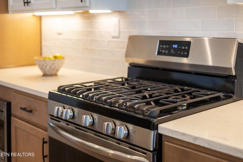 Tiny photo for 11039 Big Sky Lane, Knoxville, TN 37932 (MLS # 1335904)