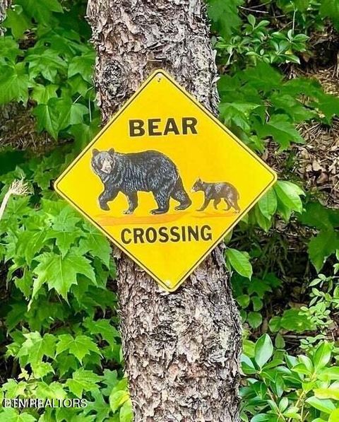 Tiny photo for 429 Deer Path Lane #APT 103, Gatlinburg, TN 37738 (MLS # 1336493)