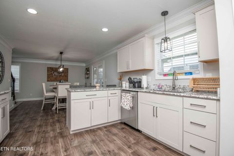 Tiny photo for 7336 Ladd Road Rd, Powell, TN 37849 (MLS # 1323709)