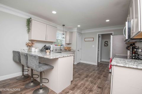 Tiny photo for 7336 Ladd Road Rd, Powell, TN 37849 (MLS # 1323709)